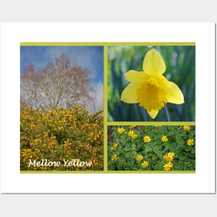 Mellow Yellow Posters and Art